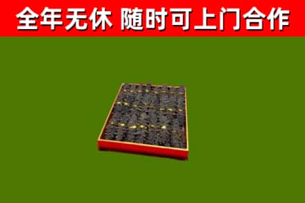 蕲春回收海参